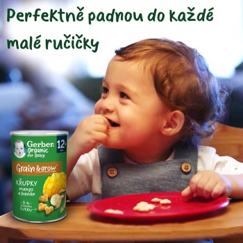 5x GERBER Organic chrumky s mangom a banánom 35 g​