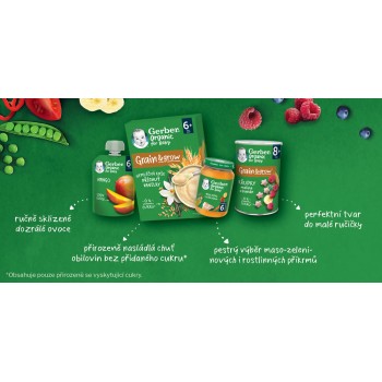 6x GERBER Organic detský príkrm mrkva a rajčiny s morčacím mäsom 190 g