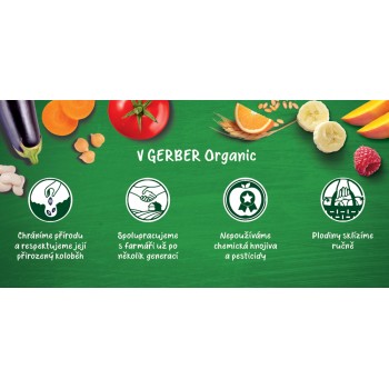 6x GERBER Organic detský príkrm mrkva a rajčiny s morčacím mäsom 190 g