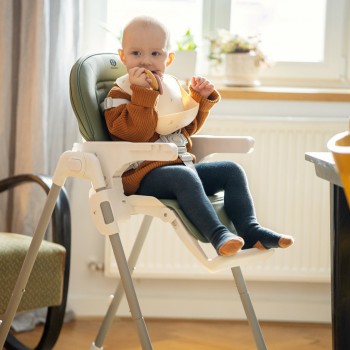 PETITE&MARS Poťah sedadla a podnos k detskej stoličke Gusto Beige Dandelions