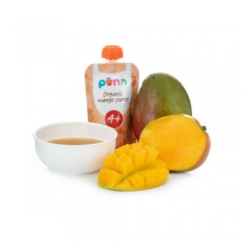 3x SALVEST Põnn BIO Mango 100 % (100 g)