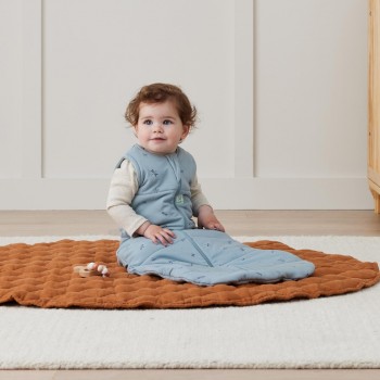 ERGOPOUCH Vak na spaní organická bavlna Jersey Dragonflies 3-12 m, 6-10 kg, 2,5 tog