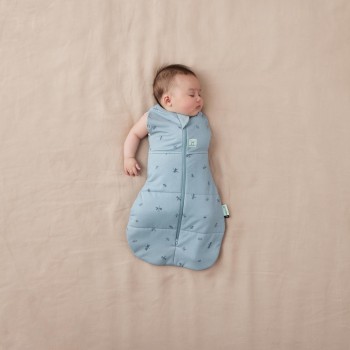 ERGOPOUCH Zavinovačka a vak na spaní 2v1 Cocoon Dragonflies 6-12 m, 8-10 kg, 2,5 tog