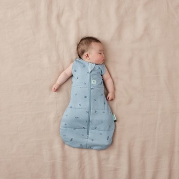 ERGOPOUCH Zavinovačka a vak na spaní 2v1 Cocoon Dragonflies 6-12 m, 8-10 kg, 2,5 tog