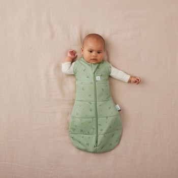 ERGOPOUCH Zavinovačka a vak na spaní 2v1 Cocoon Willow 0-3 m, 3-6 kg, 2,5 tog