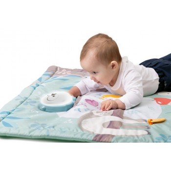 CHICCO Deka hracia Sovička 2v1 80x80 cm, 0m+