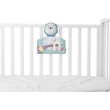 CHICCO Deka hracia Sovička 2v1 80x80 cm, 0m+