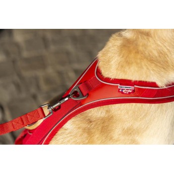 CURLI Postroj pre psov Belka Comfort Red XL, 30-45 kg