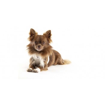 CURLI Postroj pre psov so sponou Air-Mesh Fuchsia 2XS, 2-4 kg