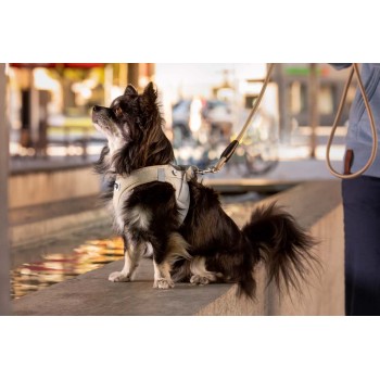 CURLI Postroj pre psov so sponou Air-Mesh Skyblue 2XS, 2-4 kg