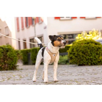 CURLI Postroj pre psov so sponou Manšester Tan S, 4-7 kg