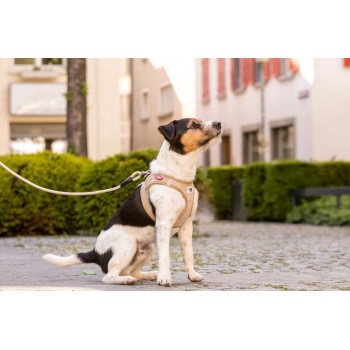 CURLI Postroj pre psov so sponou Manšester Tan S, 4-7 kg