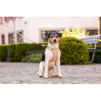 CURLI Postroj pre psov so sponou Manšester Tan S, 4-7 kg
