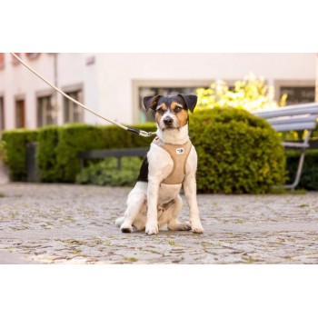 CURLI Postroj pre psov so sponou Manšester Tan S, 4-7 kg