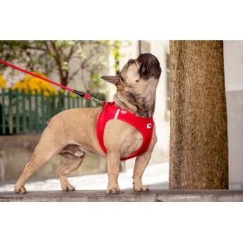 CURLI Postroj pre psov so sponou Softshell Black XL, 12-18 kg
