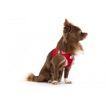 CURLI Postroj pre psov so sponou Softshell Red 3XS, 1,5-3 kg