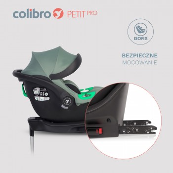 Autosedačka/vajíčko Colibro Petit Pro Pine + základňa ISOFIX