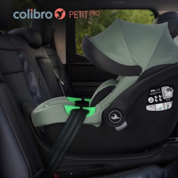 Autosedačka/vajíčko Colibro Petit Pro Pine + základňa ISOFIX