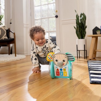 BABY EINSTEIN Hračka hudobná interaktívna Chase & Tap Earl™ 6m+