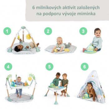 INGENUITY Aktívne centrum 6v1 Tummy to Toes™ Milestones 0m+