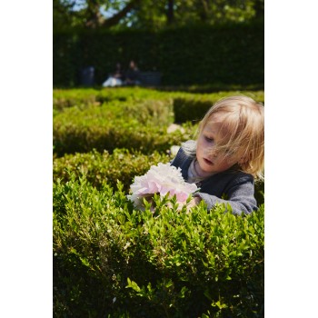 EASYWALKER Kočík kombinovaný Harvey⁵ Pebble Grey XXL AIR + CYBEX Aton B2 i-Size + základňa