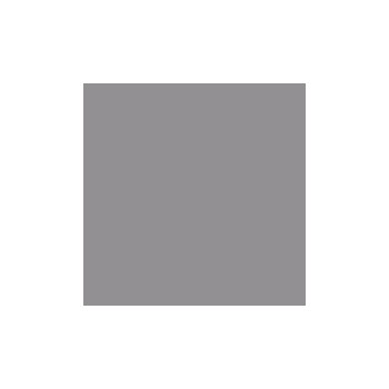 Baby stroller CARRELLO Bravo 2024 CRL-8512 Forest Grey