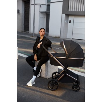 ANEX Kočík kombinovaný Flo Solo + CYBEX Aton B2 i-Size + základňa