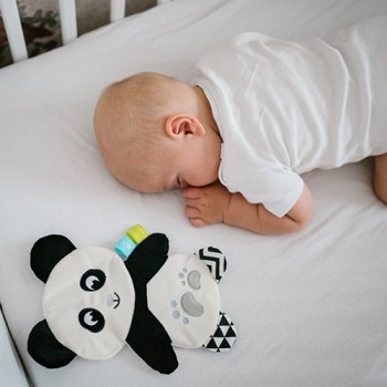 BABYONO Hračka maznáčik Panda Polly 3m+
