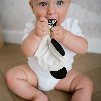BABYONO Hračka maznáčik Panda Polly 3m+