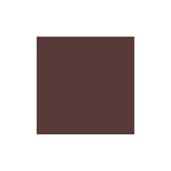 Baby stroller 2w1 CARRELLO Vector CRL-6550 2025 Sienna Beige