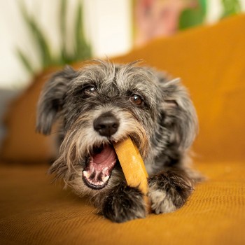 EXPLORER DOG Himálajska maškrta s ľanovým semienkom XL