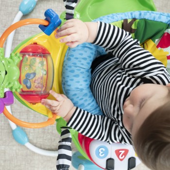 BABY EINSTEIN Skákadlo s aktivitami Neighborhood Friends™ 6m+, do 11kg