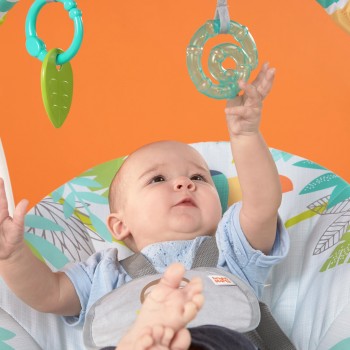 BRIGHT STARTS Hojdačka s melódiou Rainforest Vibes™ 0m+ do 9kg