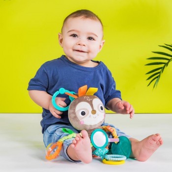 BRIGHT STARTS Hračka na C krúžku Playful Pals leňochod 0m+