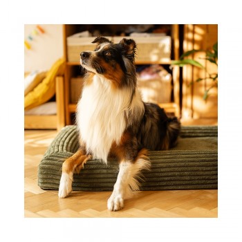 EXPLORER DOG Pelech ortopedický Cloud M 100x70 Vanilla Beige
