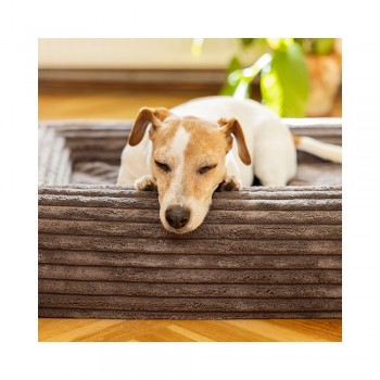 EXPLORER DOG Pelech ortopedický Cloud S 80x60 Mocha Brown