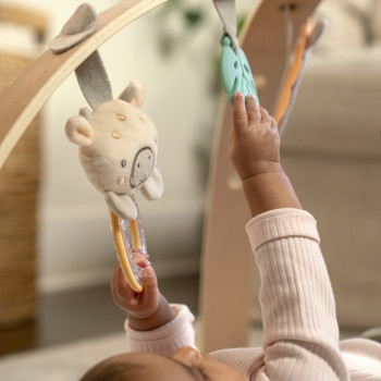 INGENUITY Deka na hranie obojstranná Elephant March™ 0m+