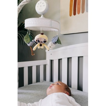 TINY LOVE Kolotoč hudobný Boho Chic, 0m+