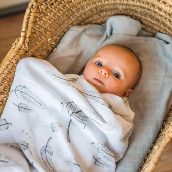 BABYONO Plienky mušelínové Bamboo Feathers 2 ks 120x120 cm