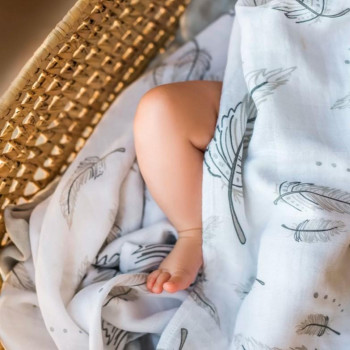 BABYONO Plienky mušelínové Bamboo Feathers 2 ks 120x120 cm