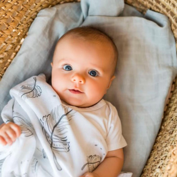 BABYONO Plienky mušelínové Bamboo Feathers 2 ks 120x120 cm