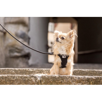 CURLI Vodítko pre psov Comfort Brown M