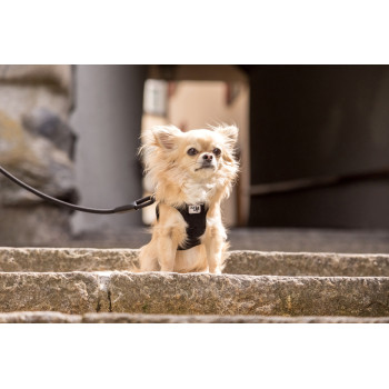 CURLI Vodítko pre psov Comfort Brown M