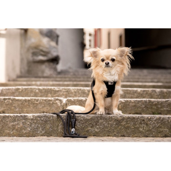 CURLI Vodítko pre psov Comfort Brown M