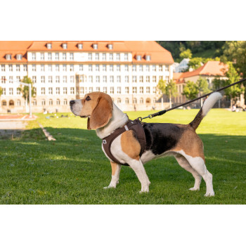CURLI Vodítko pre psov Comfort Brown M