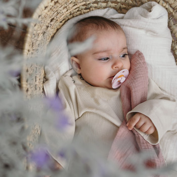 BIBS Colour cumlíky z prírodného kaučuku 2ks - veľkosť 2 Mushroom / Breeze