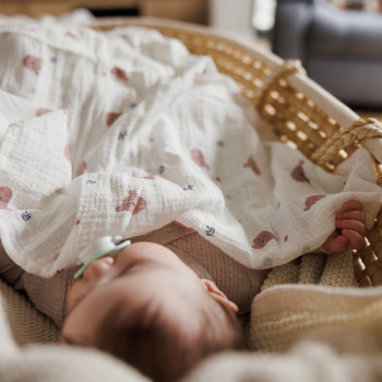 BABYONO Plienky mušelínové Super Soft 3 ks, Grey 70 x 70 cm