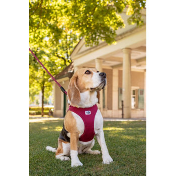 CURLI Postroj pre psov so sponou Air-Mesh Skyblue M, 6-9 kg