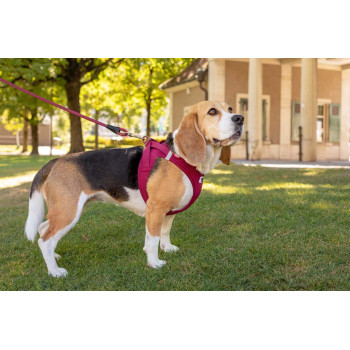 CURLI Postroj pre psov so sponou Air-Mesh Skyblue M, 6-9 kg