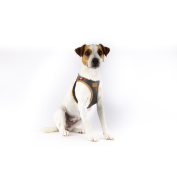 CURLI Postroj pre psov z jablčnej kože Black L, 8-13 kg